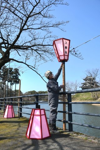 11面：観桜会場彩るぼんぼり設置　上越市の高田公園