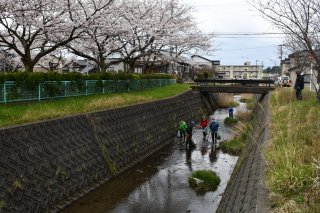1面：地元住民が八千川を清掃　糸魚川市須沢地区