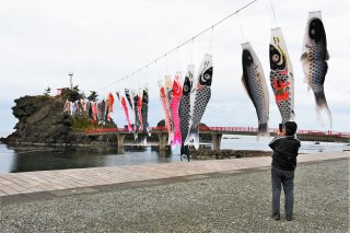 1面：海上にこいのぼり６０匹　季節の風物詩登場　糸魚川市能生海岸