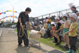 10面：ヤギさんこんにちは　上越市立大町小１年生が授業で飼育　命の大切さ学習