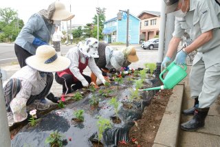11面：街を彩り豊かに、協力し花植え活動　鴨島１丁目町内会