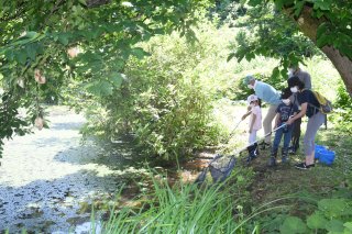 11面：池で水生生物観察　親子連れ興味津々　くわどり市民の森