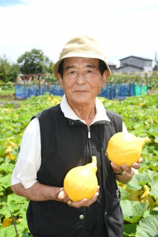 3面：生食できるカボチャ「コリンキー」収穫期　上越市国府１の古澤良彰さん　サラダに最適