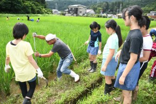 15面：雨の合間に草取り　浦川原小５年生 総合学習で米作り