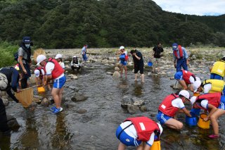 1面：「きれいな川」と判定　姫川・根知川合流点、水生生物を調査　大野小４年生ら