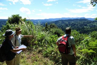 1面：自然、歴史を再確認　大島地区振興協　やすらぎの森散策