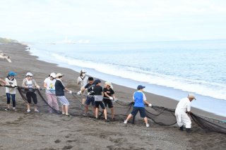 6面：日本海の魚に歓声　長野県の小学生 柿崎で地引網体験　ダツなど掛かる