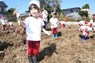 3面：地域住民と一緒に　マハヤナ幼稚園園児らイモ掘り