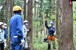 4面：清里区で森林整備研修会　伐採作業を実体験　安全な知識、技術学ぶ