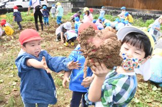 3面：大きな芋掘り出し歓声　聖公会紅葉幼稚園