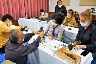 1面：「糸魚川真柏」活用 盆栽モニター体験　在住外国人ら市民参加
