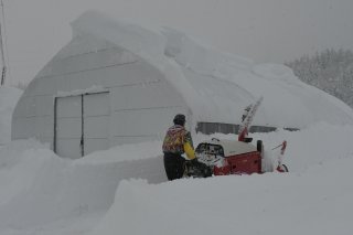 10面：降り続く雪に危機感　農業用ハウス、倒壊の恐れも　上越地域の農業生産者