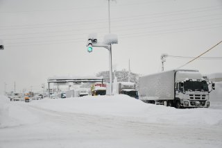1面：高田で積雪２３５センチ　国道８号で車立ち往生　４８時間降雪量過去最多