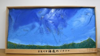 9面：いきもの上越図鑑〈２〉上越近海の深海生物　特殊、ユニークな生態系　背景に形状と成り立ち　日本海