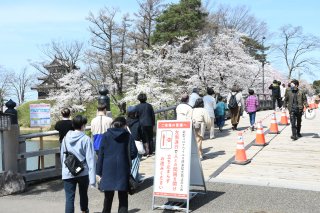1面：高田城址公園観桜会開幕 桜は満開　コロナ感染対策の下、花見客にぎわう