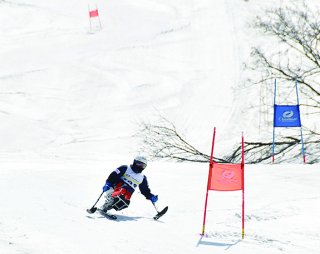1面：バリアフリーのスキー大会楽しむ　シャルマン火打スキー場「ｉｃｅｔｅｅ　ｃｕｐ」
