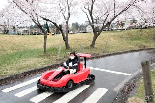 1面：ゴーカート桜咲く中人気　今季営業開始　上越市五智公園