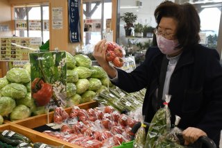 1面：新鮮 初物トマト店頭に　例年より早い出荷　上越市大道福田あるるん畑