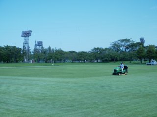 3面：〈直江津全力取材〉刈りそろえた芝面鮮やか　スポーツ公園多目的広場