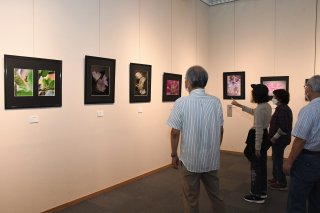 １０面：フォトクラブ和 写真展　感性独特 花を接写　小川未明文学館