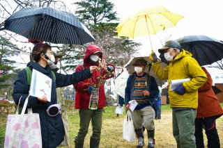 １面：雨の中４０人以上参加　高田城址公園、一足早く桜観察　エコ・グリーン