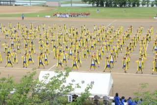 ８面：迫力「全校よさこい」　頸城中体育祭で披露